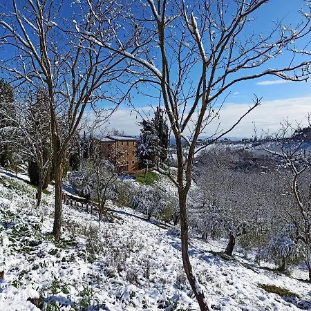 Rocca Degli Olivi