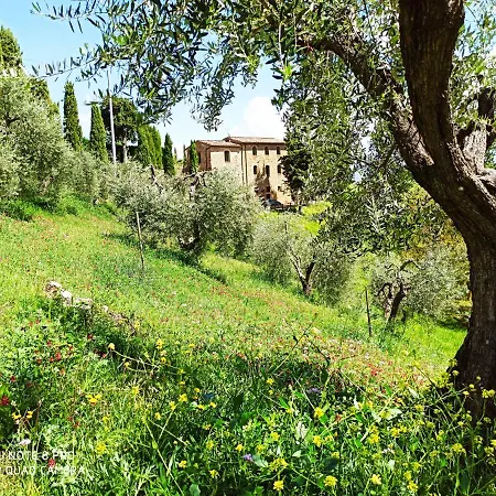 Bed and Breakfast Rocca Degli Olivi