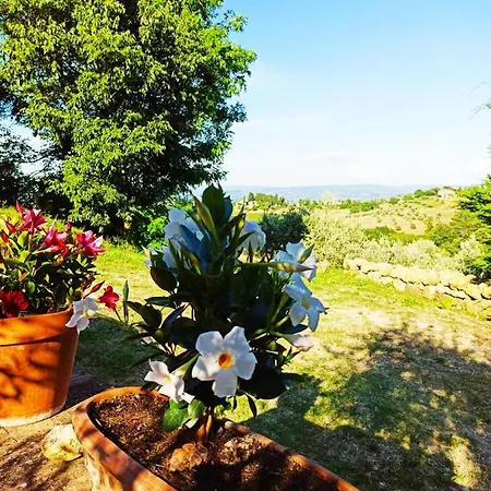 Rocca Degli Olivi Bed and Breakfast 2*
