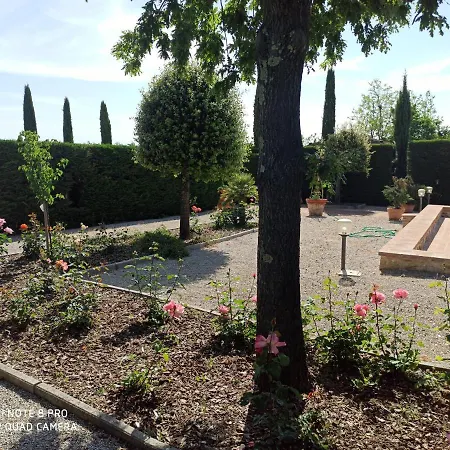 Bed and Breakfast Rocca Degli Olivi