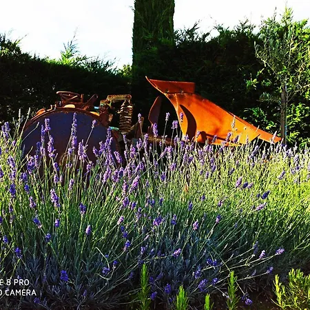 Rocca Degli Olivi Bed & Breakfast 2*