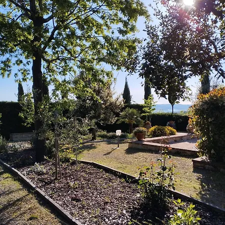 Rocca Degli Olivi 2*
