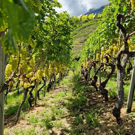 Rocca Degli Olivi 4* San Gimignano