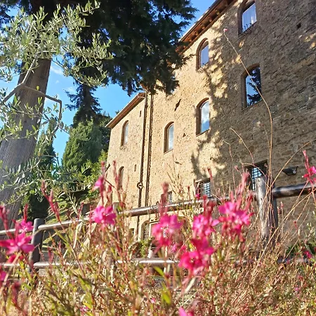 Alojamento de Acomodação e Pequeno-almoço Rocca Degli Olivi San Gimignano