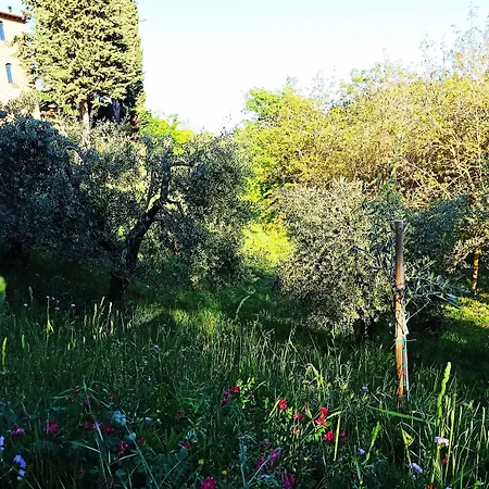 Panzió Rocca Degli Olivi