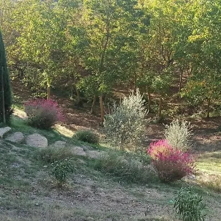 Rocca Degli Olivi 2* San Gimignano
