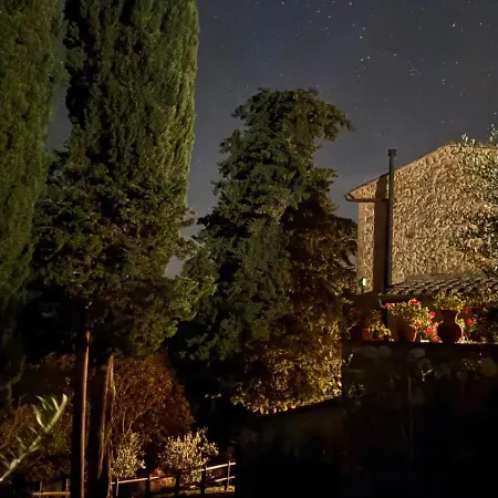 Rocca Degli Olivi Bed & Breakfast