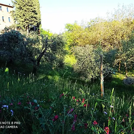 Bed & Breakfast Rocca Degli Olivi 2*
